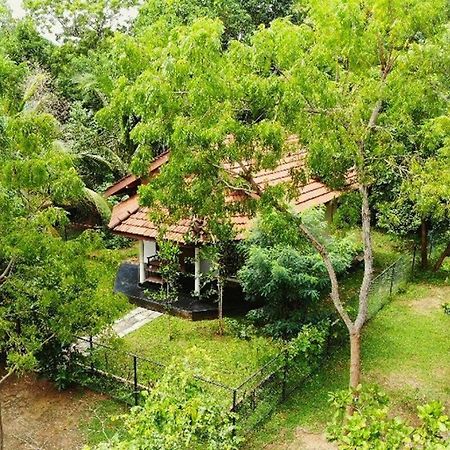 Turtles View Resort Tangalle Exterior foto