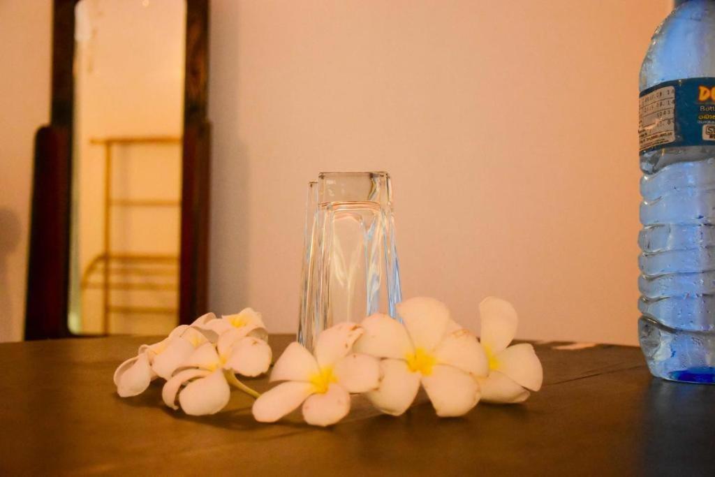 Turtles View Resort Tangalle Exterior foto