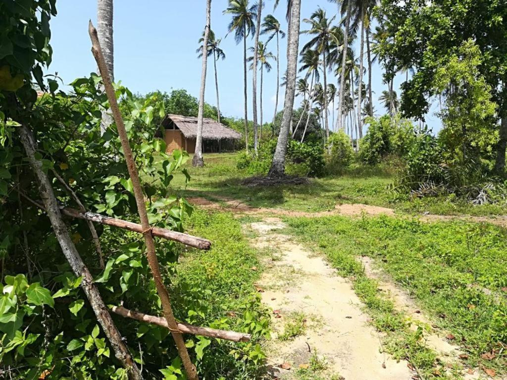 Turtles View Resort Tangalle Exterior foto